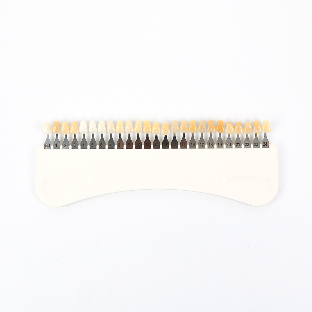 3D Teeth Whitening Shade Guide - Teeth Whitening Usa 评论和价格