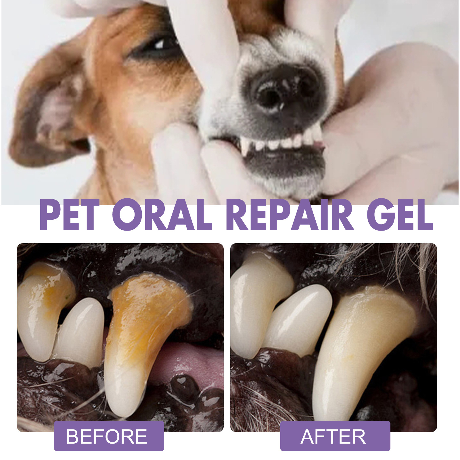 Pet Oral Repair Gel Puppy Tart - Teeth Whitening Remedies 评论和价格