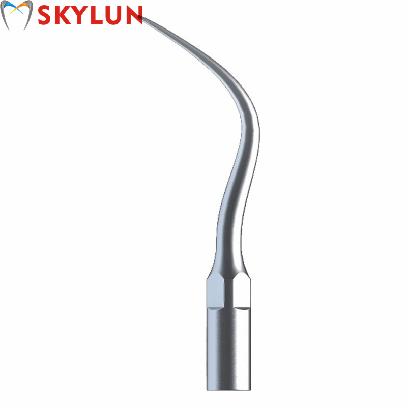 5PCS P4 Dental Ultrasonic Scal - Teeth Whitening Usa 评论和价格